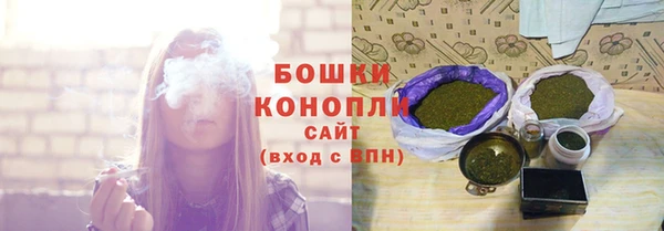 дурь Гусиноозёрск