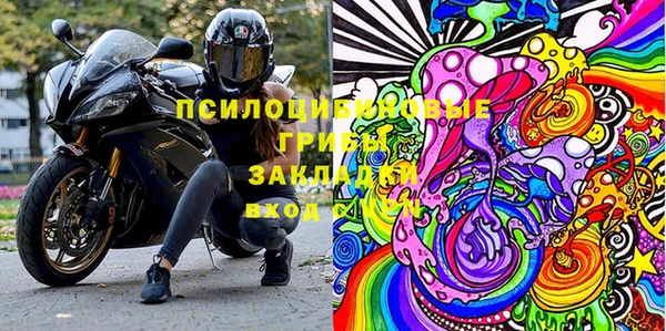 прущая мука Гусев