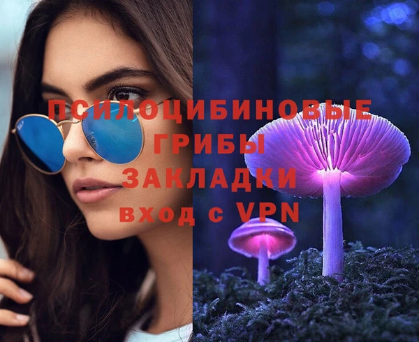 прущая мука Гусев