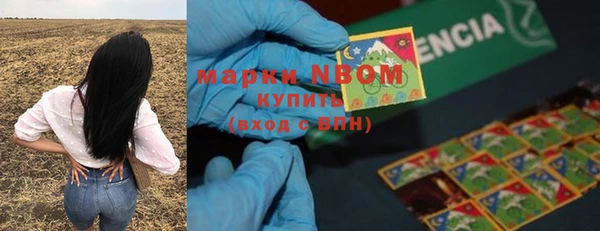 прущая мука Гусев